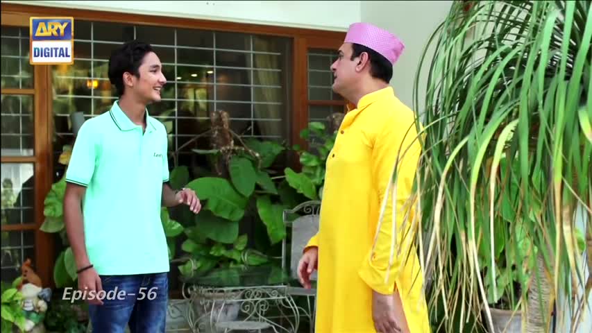 Dilli Walay Dularay Babu Ep 56 - 28th October 2017 - ARY Digital Drama