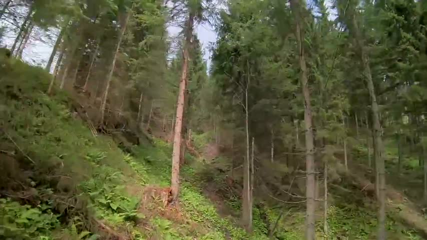 Sun'n Fun at a Hilltop