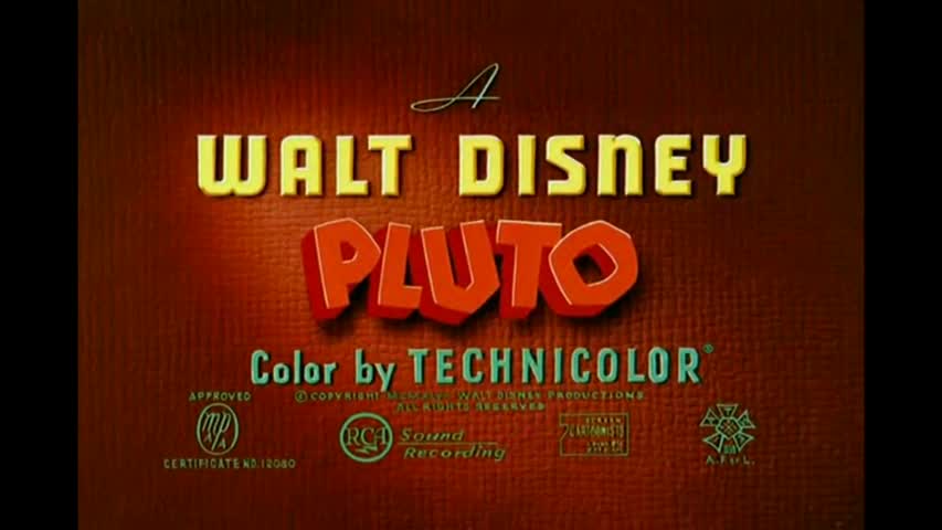 Mickey mouse & Pluto Collection with Funny Dogs: the Bulldog, Peke, Dachshund & St. Bernard Puppy.