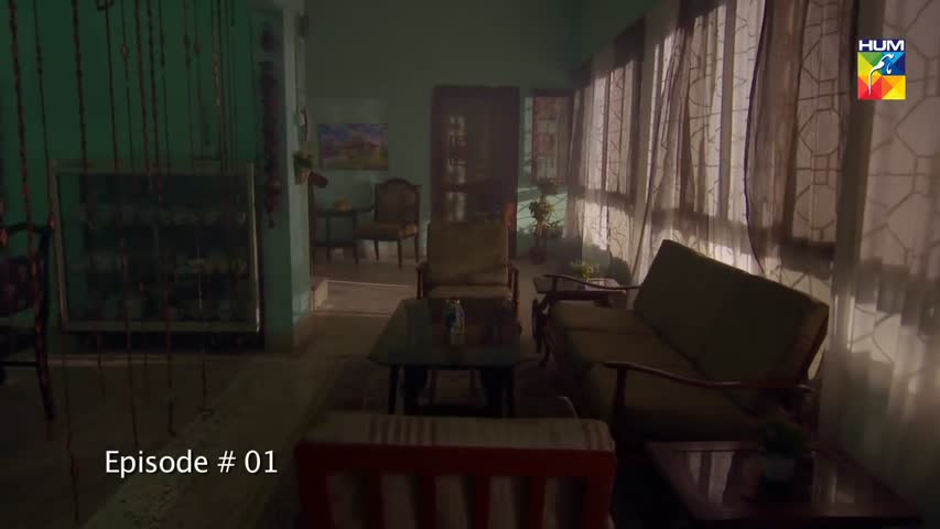 Aik Larki Aam Si Episode #01 HUM TV Drama 19 June 2018