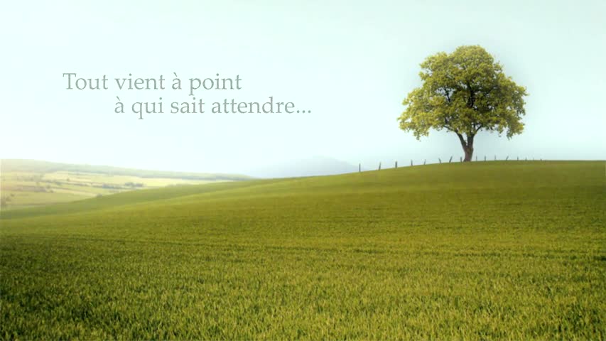 Tout vient à point à qui sait attendre