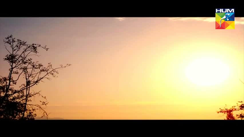 Kitni Girhein Baqi Hain Episode 31 HUM TV - 9 July 2017