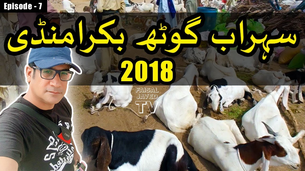 BAKRA MANDI SOHRAB GOTH 2018 KARACHI 