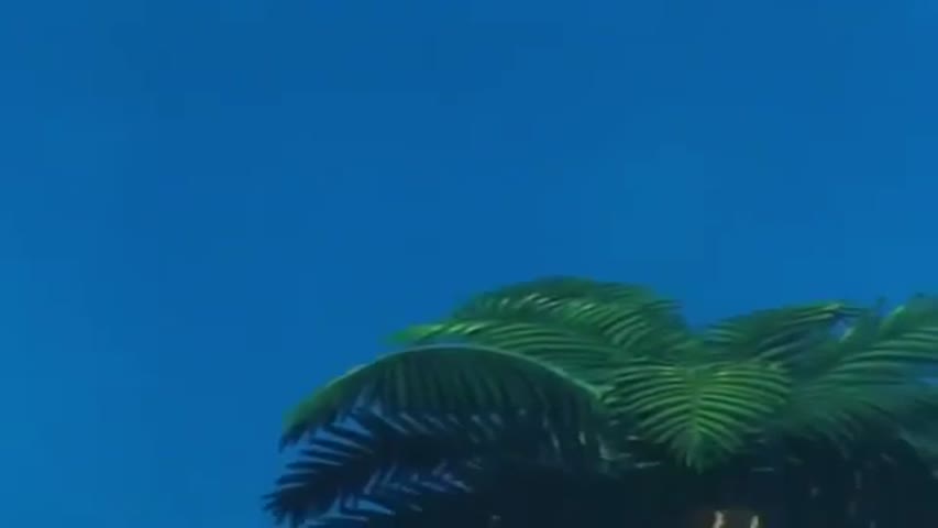 Dragon Ball - Season 3Episode 16 : Who Is Fortuneteller Baba?