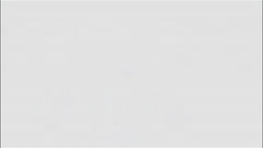 Funny Feuds by- Jamil Lahham 