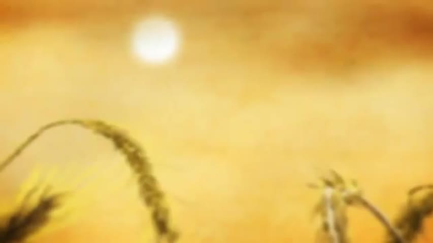 ROGGENMUHME- Mythic Horror Animation by AKV ST JOOST Breda