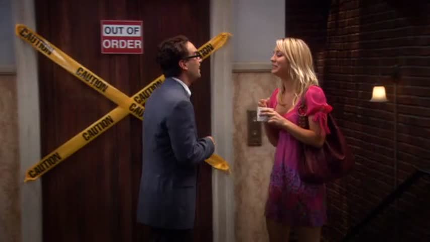 Watch The Big Bang Theory S02E01 DVDRip