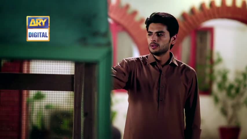 Rishta Anjana Sa Ep 44 - 30th September 2016 - ARY Digital Drama