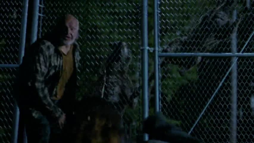 ZOO S02 EP10 The Yellow Brick Road 