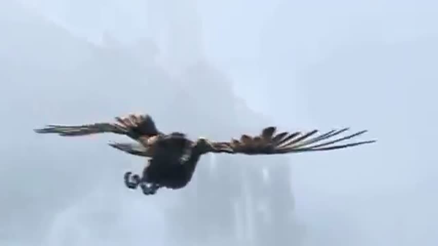 the best war video in game