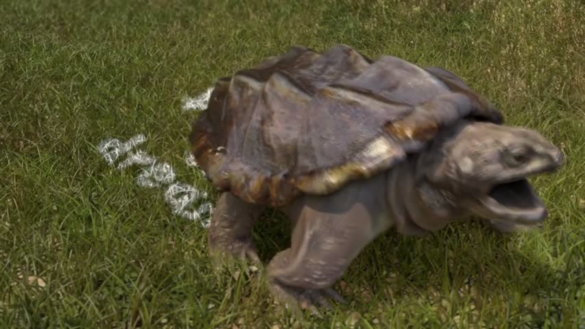 Live Action CGI VFX Animated Short -DARE TO DREAM- Funny Animation by Eunsoo Ahn & Sheridan College