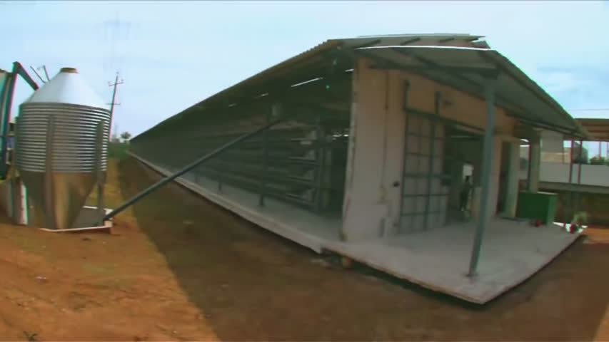 Poultry Farming 