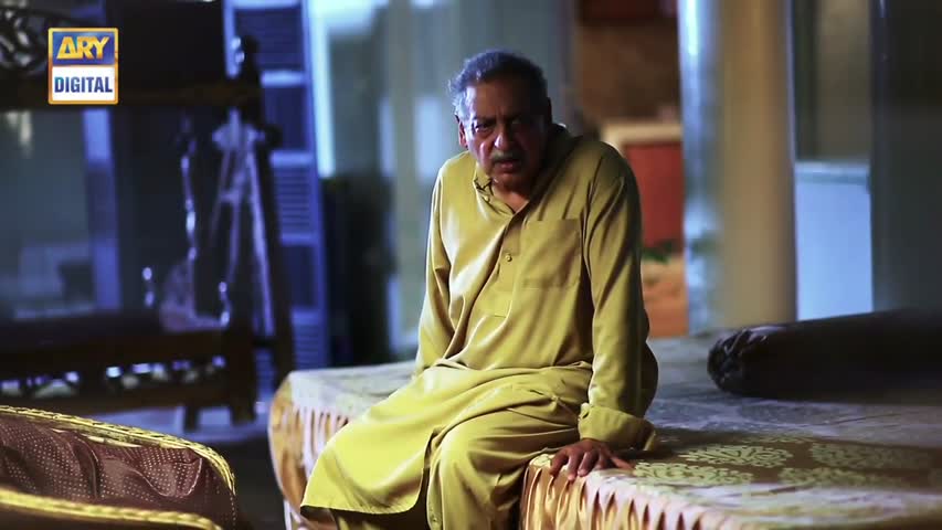 Teri Chah Mein Last Episode - 23rd November 2016  - ARY Digital Drama