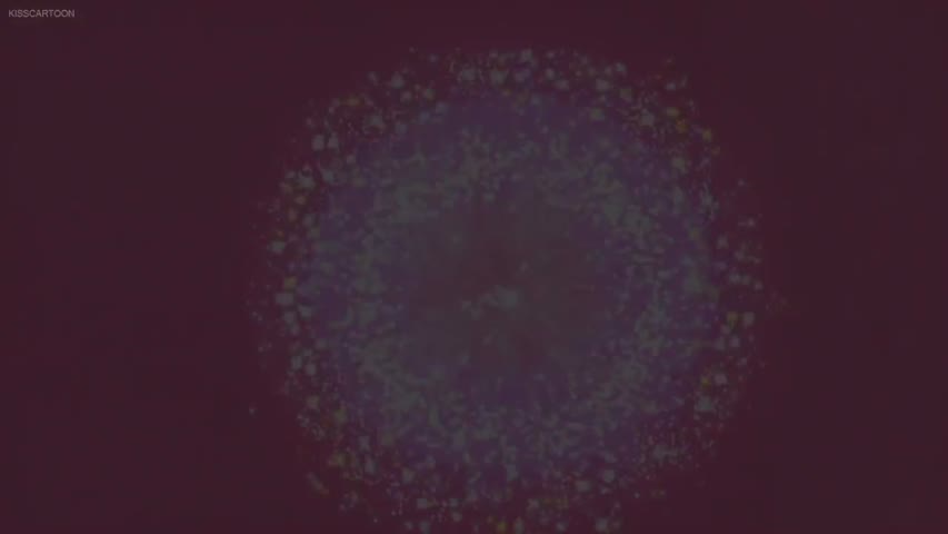 Doc McStuffins Episode 8 - Fully in Focus Picky Nikki