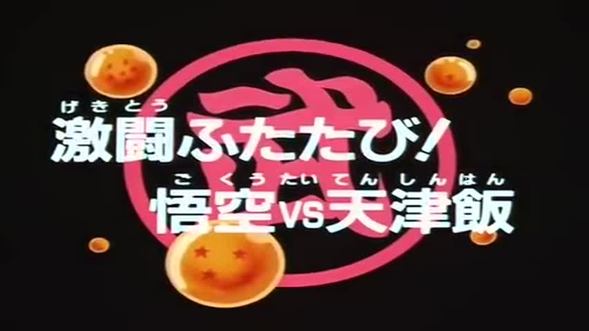 Dragon Ball - Season 5Episode 17 : Rematch