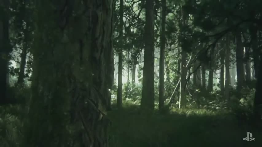 THE LAST OF US 2 ( 2017 )