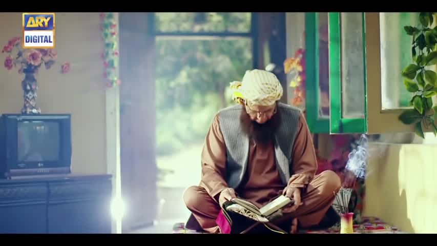 Saheliyaan Ep 68 - 14th November 2016 - ARY Digital Drama