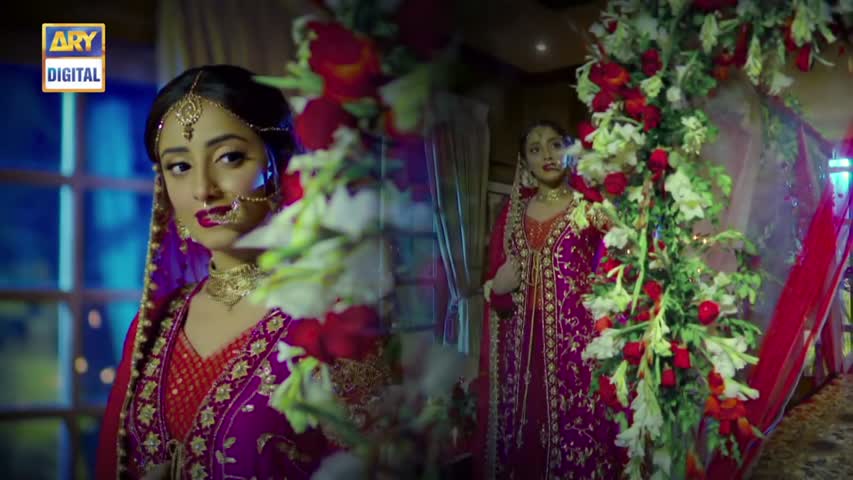 Shiza Ep 28 - 14th October 2017 - ARY Digital Drama