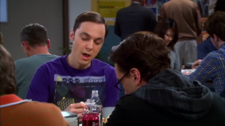 The Big Bang Theory - Season5 Episode 22