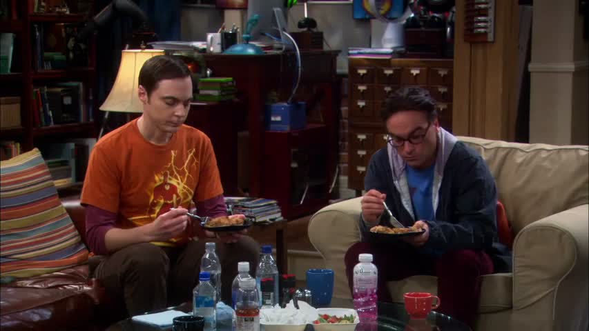The Big Bang Theory - Season5 Episode 08