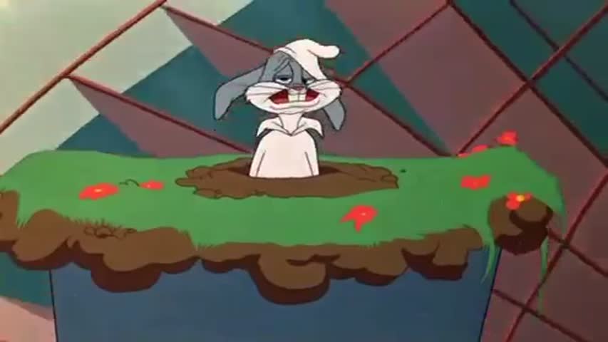 Looney Tunes Episode 08: Homeless Hare