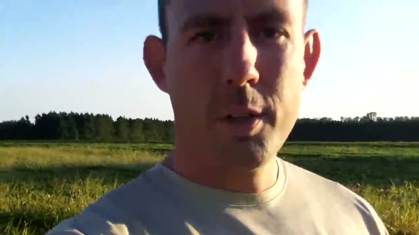 How peanuts are harvested _ picked 