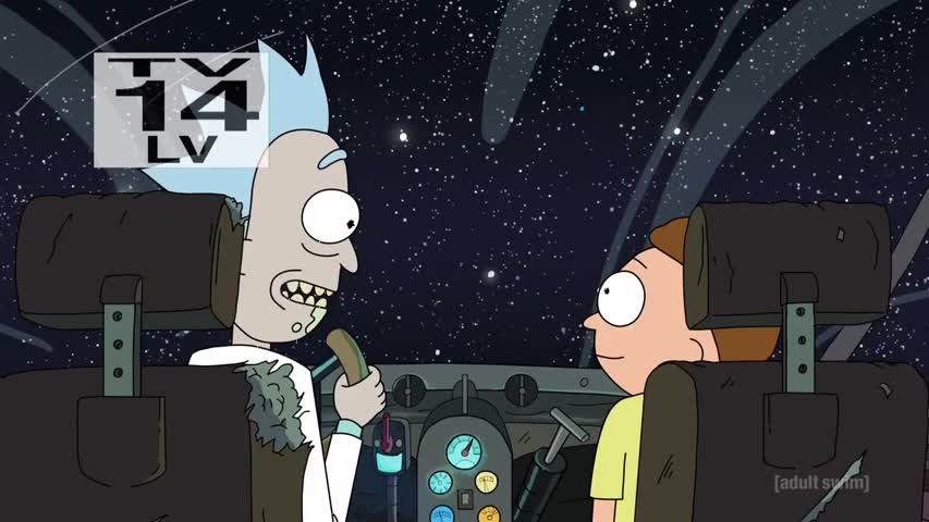 Rick and Morty S02E09: Look Who's Purging Now 