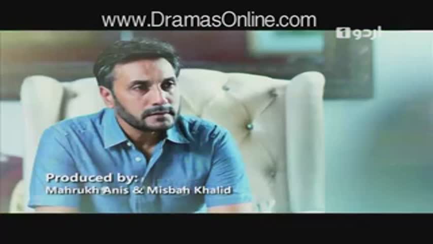 Dil Teray Naam Episode 13