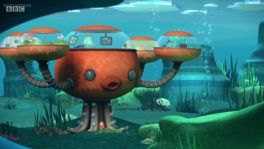 The Octonauts Episode 5 The Walrus Pups