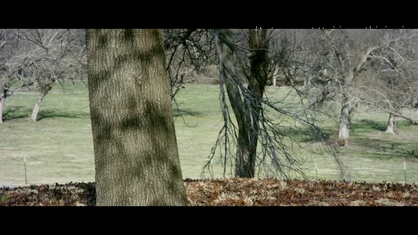 New Scary Horror Movie 2017 English Full Movie