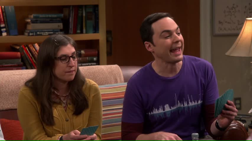 The Big Bang Theory S011 E3 The Relaxation Integration