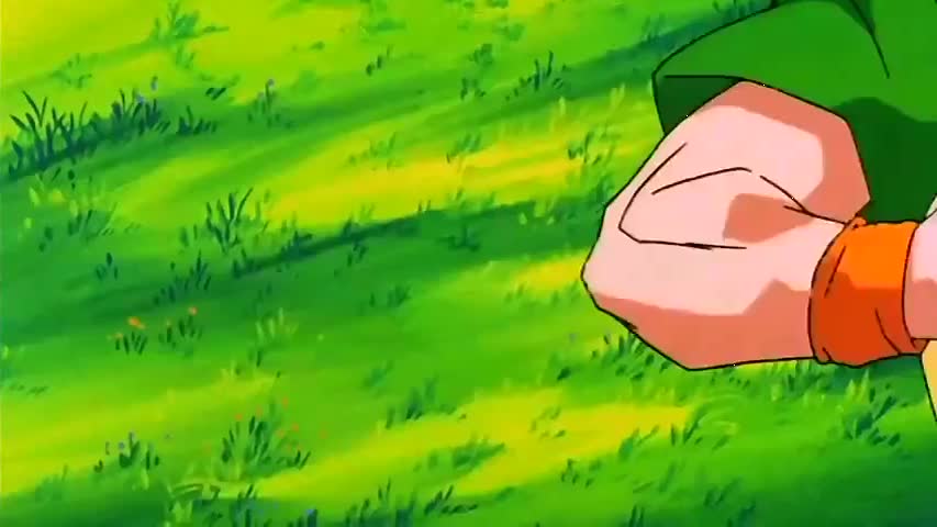Dragon Ball Z - Season 9Episode 37 : Buu's Reincarnation  