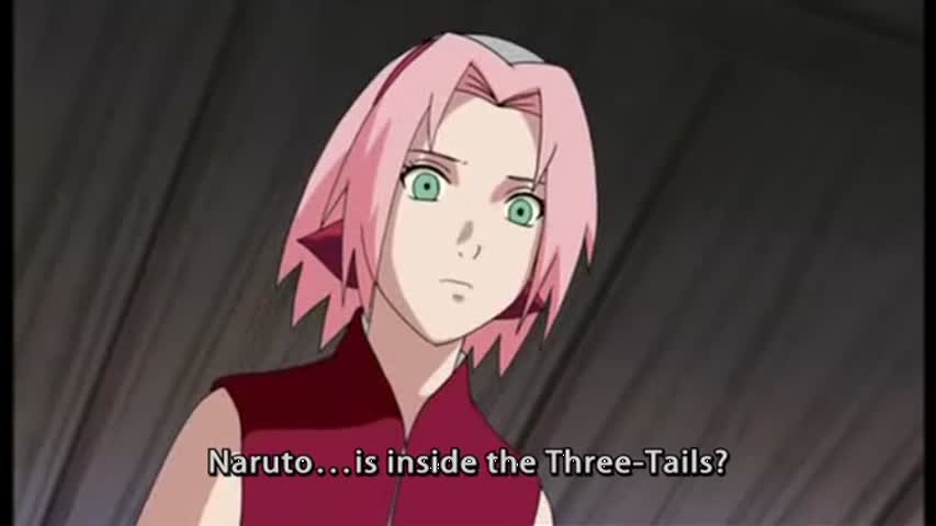 Naruto Shippuden - Season 5Episode 20: Guidepost of the Camellia