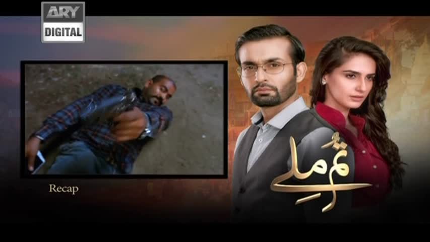 Tum Milay Ep 07 - ARY Digital Drama