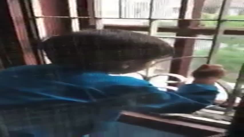 Mere Bakrey Phir Khana Kese Khae Gaye