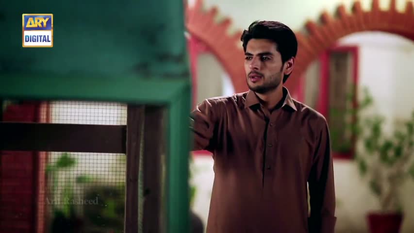 Rishta Anjana Sa Ep 65 - 3rd November 2016 - ARY Digital Drama