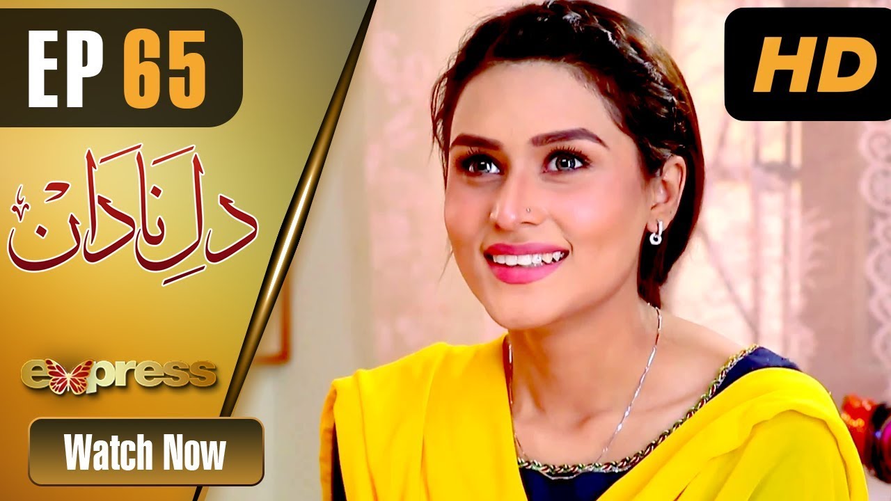 Dil e Nadaan - Episode 65