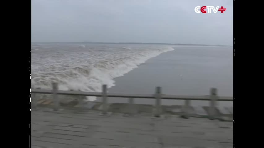 Largest Qiantang River Tidal Bores in Ten Years