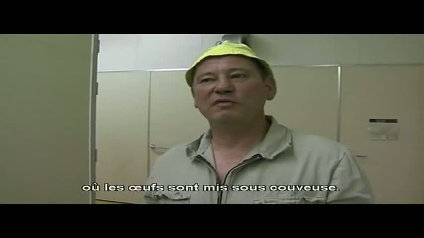 La folie de la mondialisation