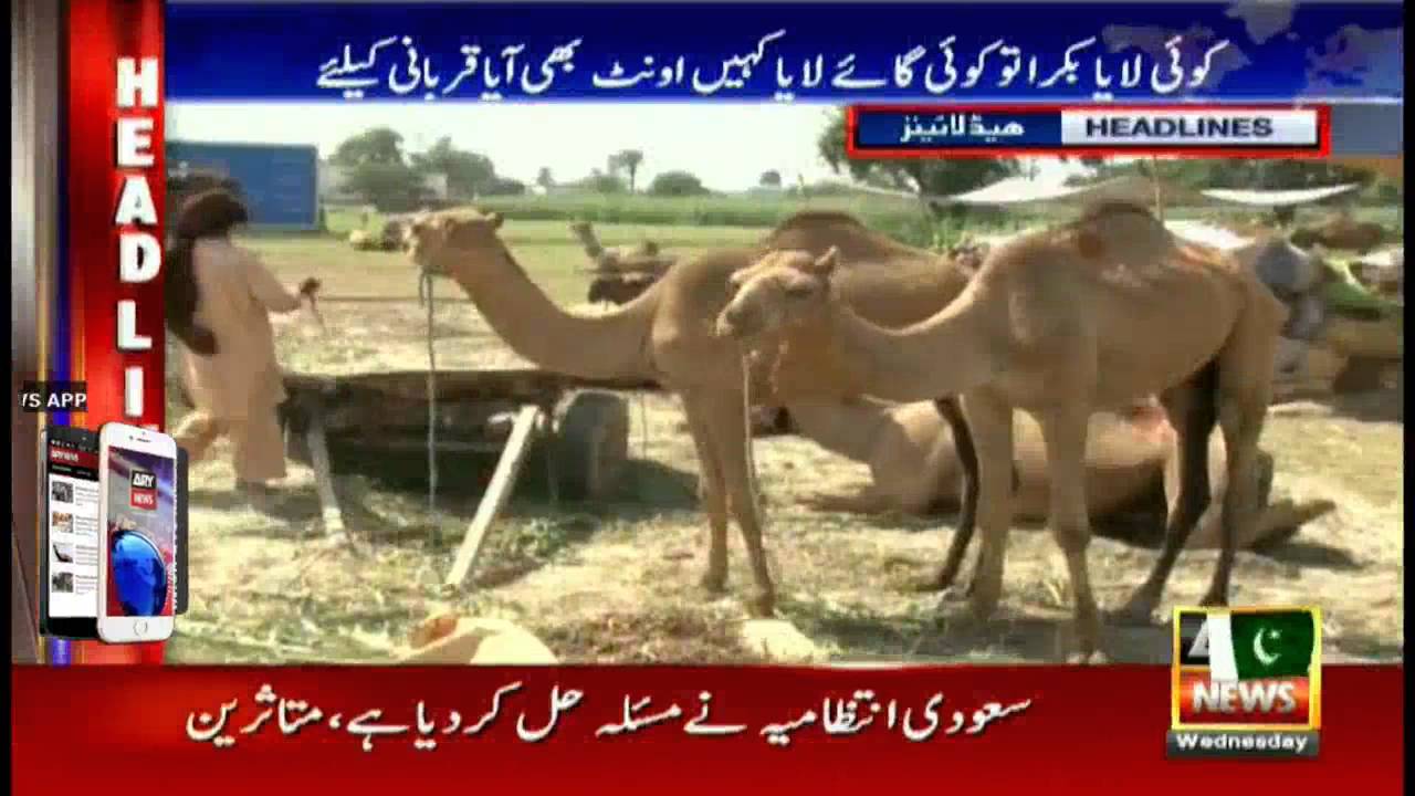 Headlines 1300 – 7th September 2016