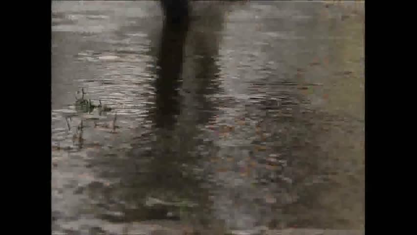 How It`s Made - Bicycle Tyres