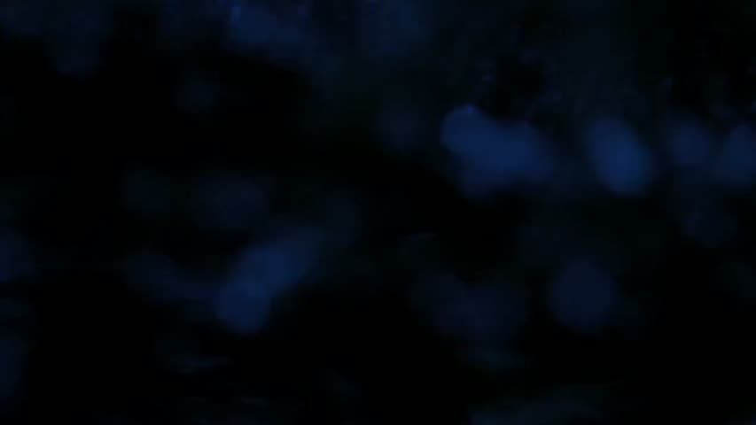 Smallville - Season 3 Episode 22 - Covenant (2) 