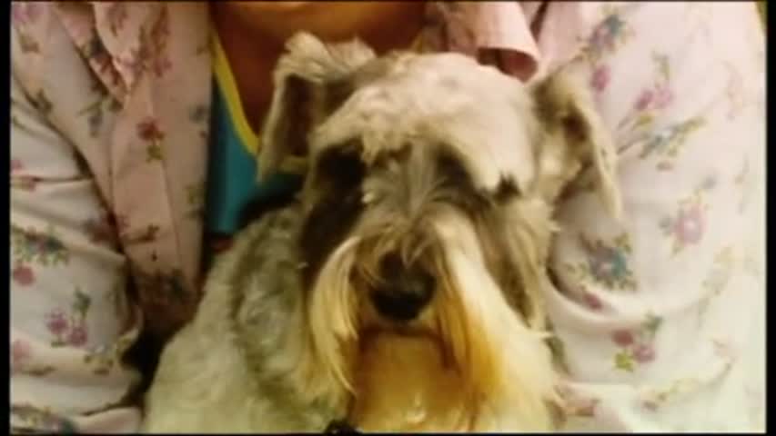  Spaced - Season 1 Episode 5 - Chaos