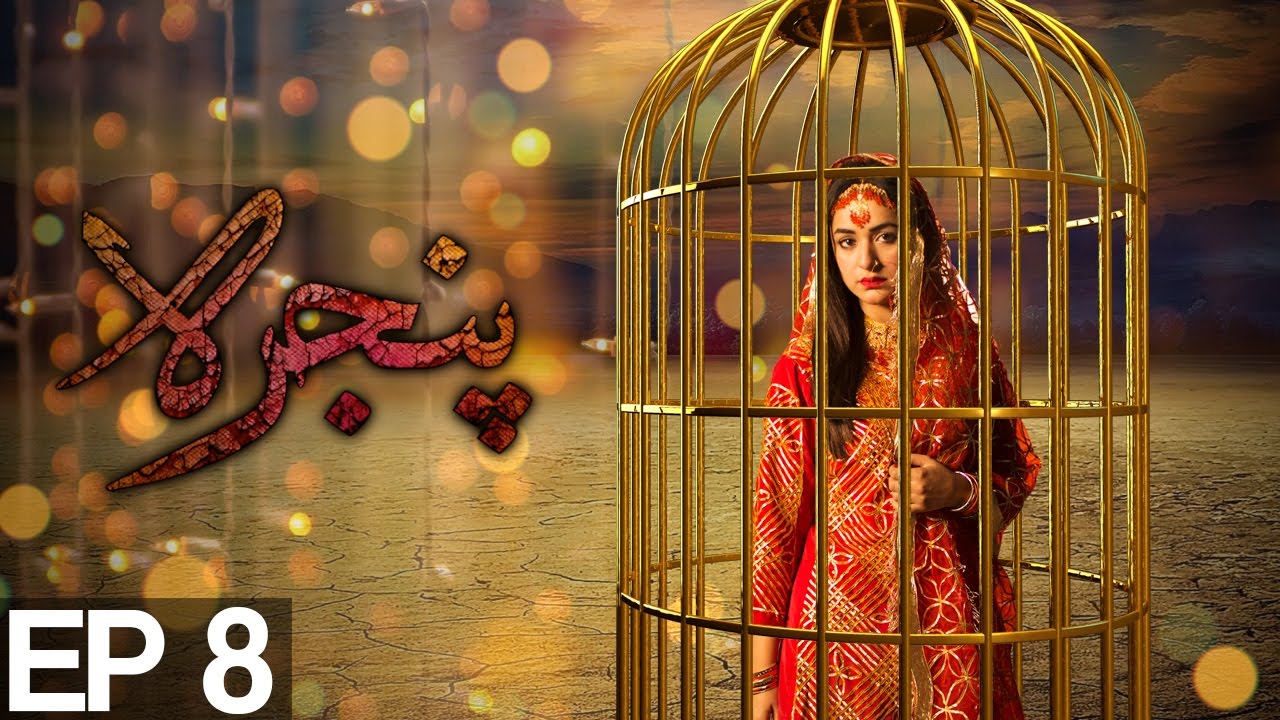 Pinjra - Episode 8 | Aplus