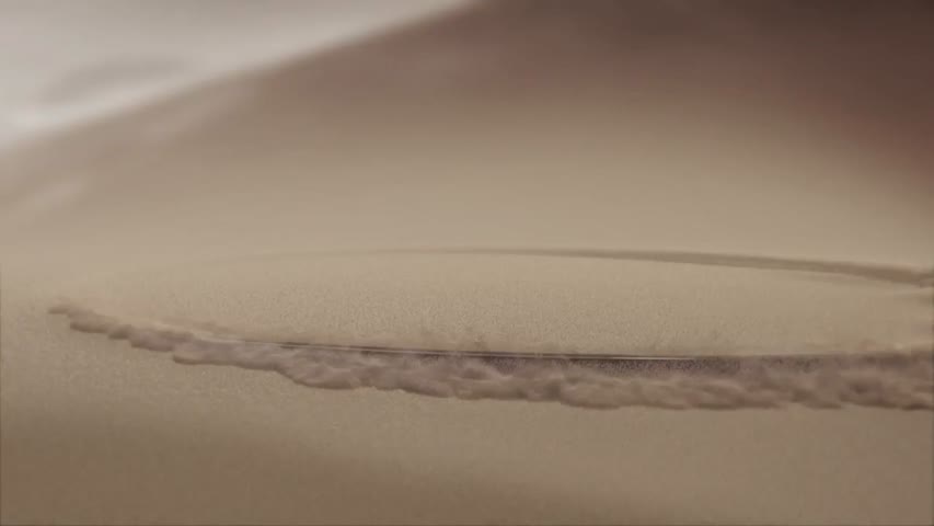 Urban Safari- Deisel- - by I-reel