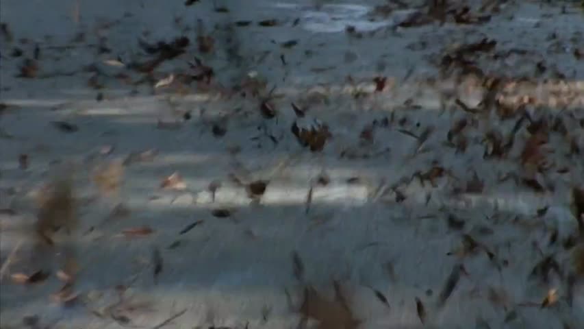 The Walking Dead - Season 4 Episode 5 - Internment