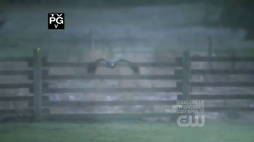 Smallville - Season 7 Episode 15 - Veritas 