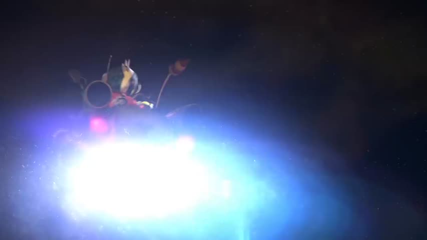 MeatBrains- - by Team Meatbrains