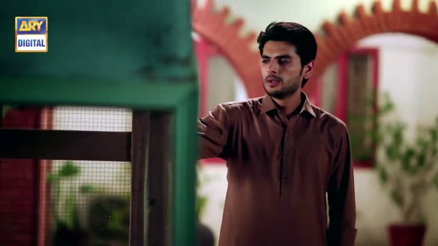 Rishta Anjana Sa Ep 54 - 19th October 2016 - ARY Digital Drama