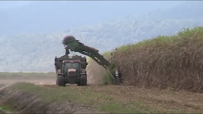 sugar cane harvester in australia